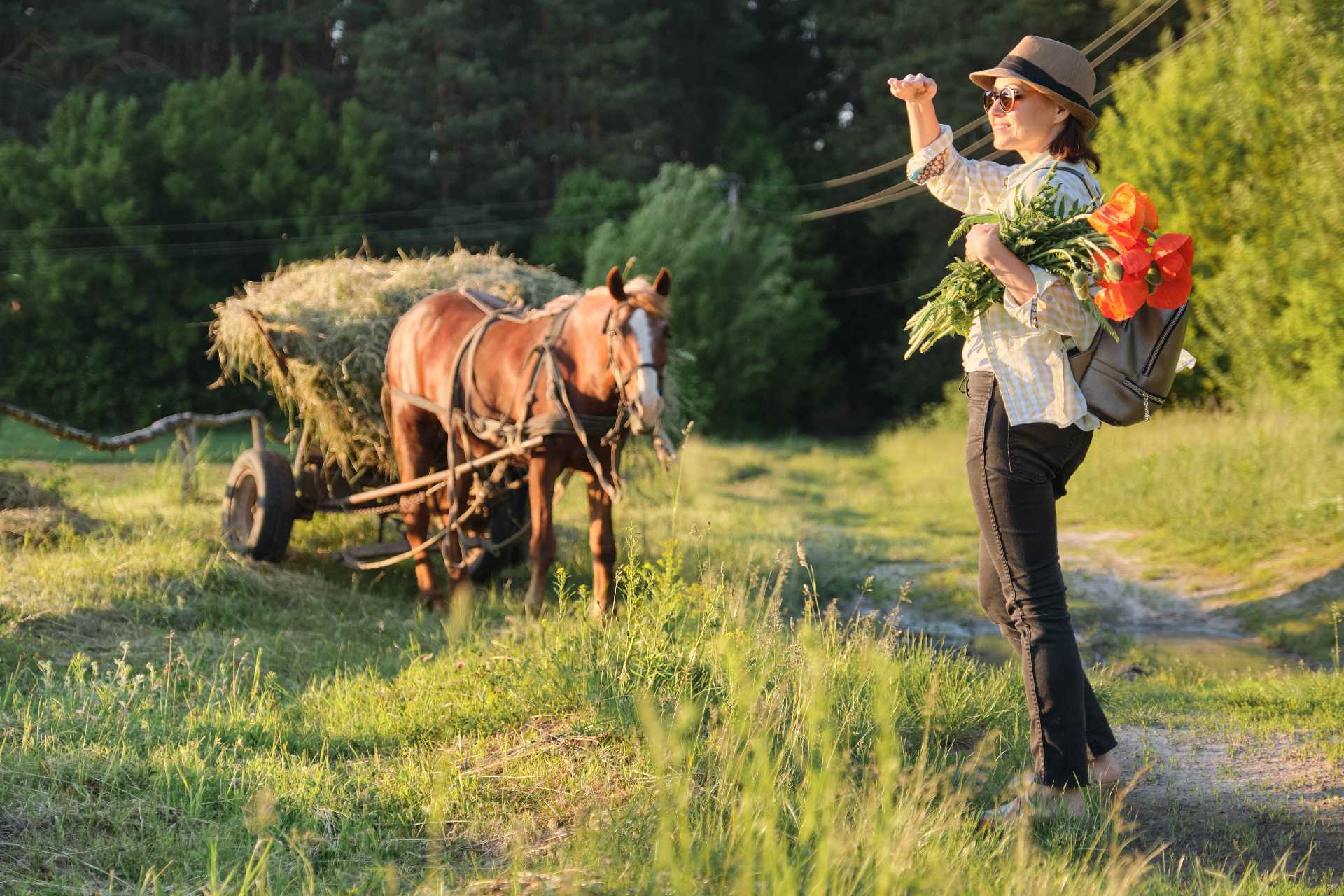 Agroturystyka w Polsce: Zarabiaj, Goszcząc Ludzi.  Sposób na Własny Biznes