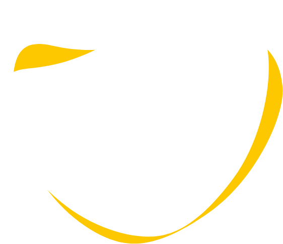 Vis in Unitate Foundation